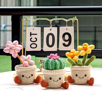 Handmade Crochet Succulent Plant Pot: Customizable Home Decor