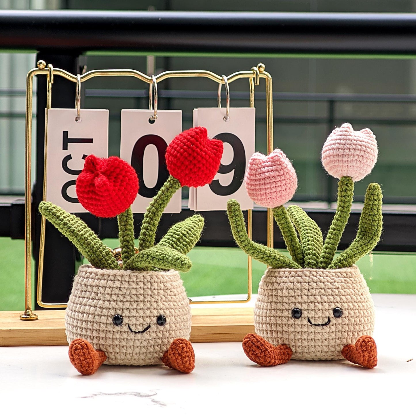 Handmade Crochet Succulent Plant Pot: Customizable Home Decor