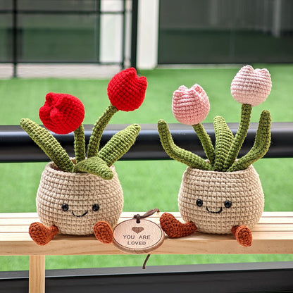 Handmade Crochet Succulent Plant Pot: Customizable Home Decor