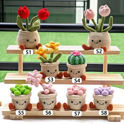 Handmade Crochet Succulent Plant Pot: Customizable Home Decor