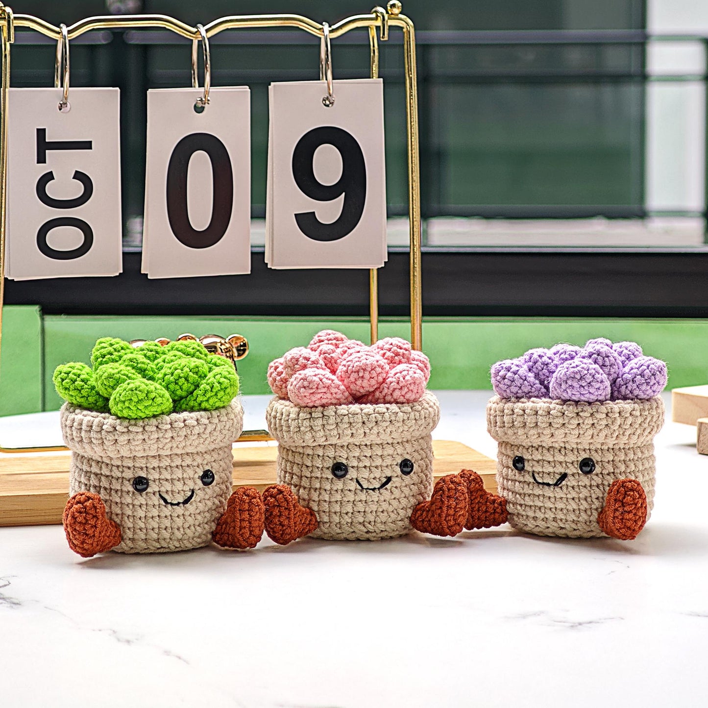 Handmade Crochet Succulent Plant Pot: Customizable Home Decor