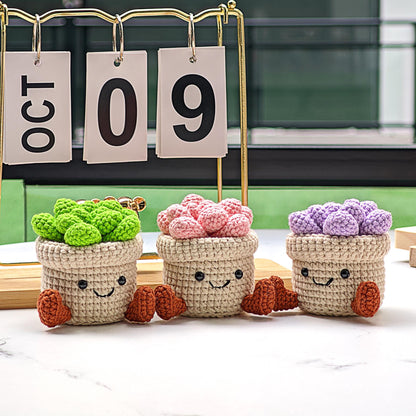 Handmade Crochet Succulent Plant Pot: Customizable Home Decor