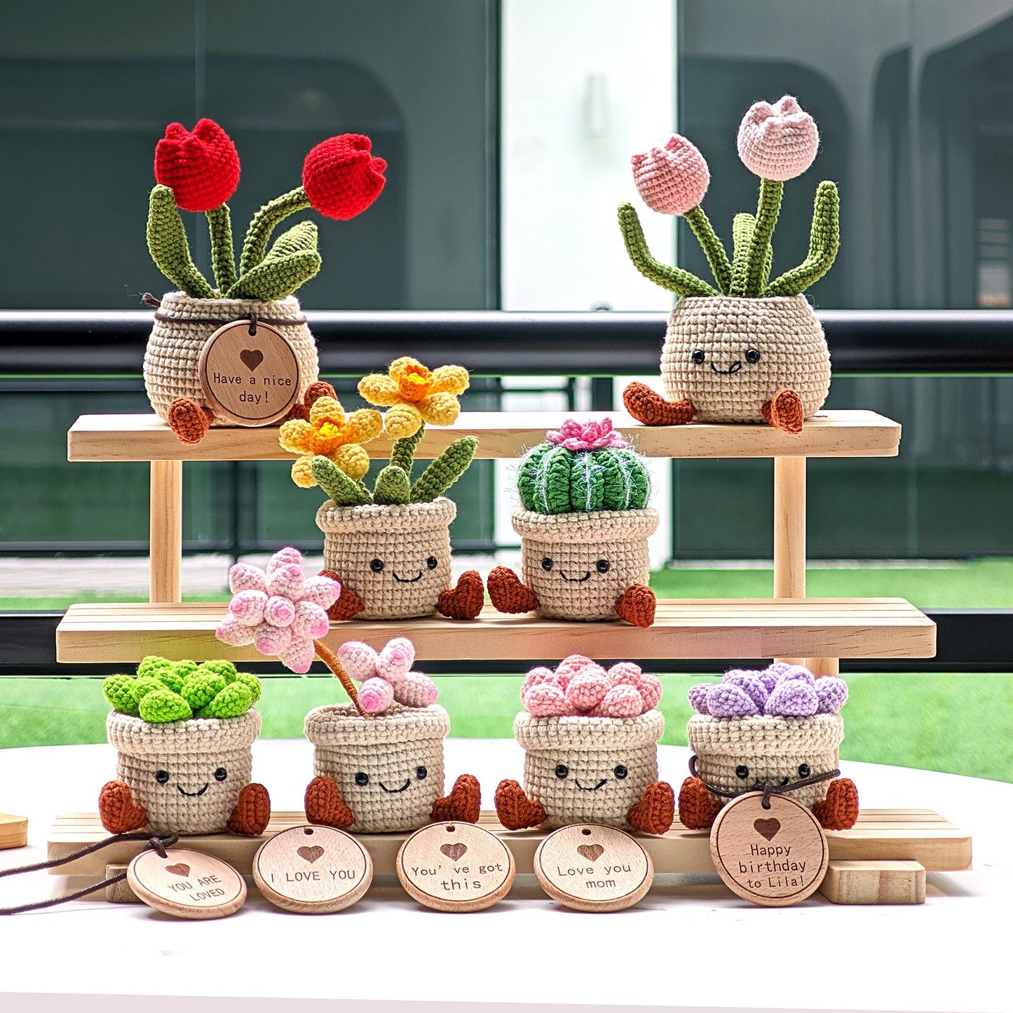 Handmade Crochet Succulent Plant Pot: Customizable Home Decor