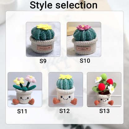 Handmade Crochet Succulent Plant Pot: Customizable Home Decor