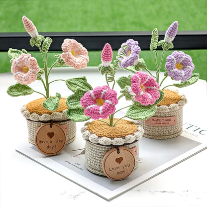 Handmade Crochet Morning Glory Flower Pot, Knitted Forever Bloom Plant, Purple Home Decor, Birth Month Flower Gift for Her, Mothers Day Gift