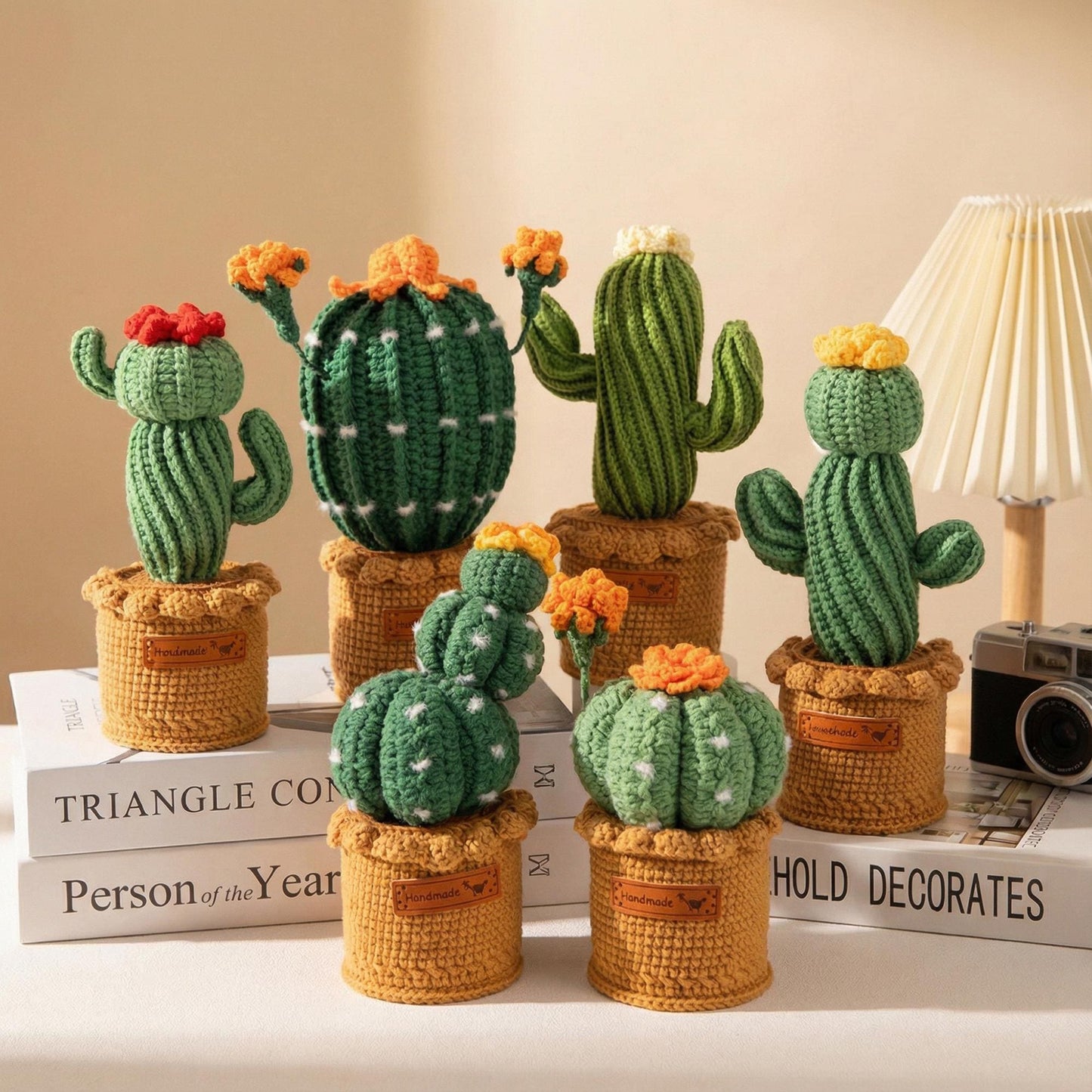 Handmade Crochet Cactus Succulent in Pot,Cute Amigurumi Plant Decor,Emotional Support Gift,Funny Desk Decor,Gift for Teacher Coworker Friend