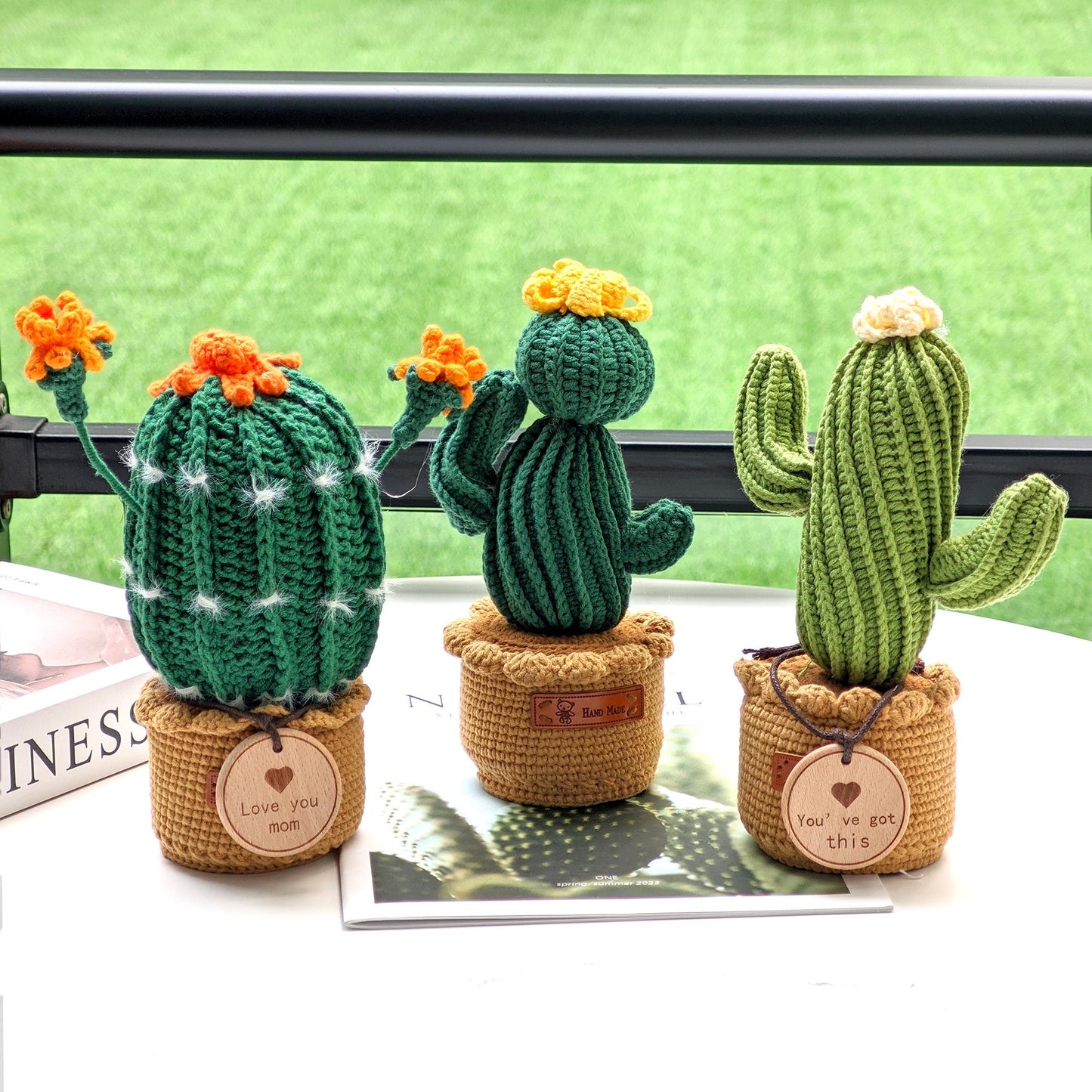 Handmade Crochet Cactus Succulent in Pot,Cute Amigurumi Plant Decor,Emotional Support Gift,Funny Desk Decor,Gift for Teacher Coworker Friend