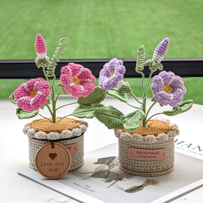 Handmade Crochet Morning Glory Flower Pot, Knitted Forever Bloom Plant, Purple Home Decor, Birth Month Flower Gift for Her, Mothers Day Gift