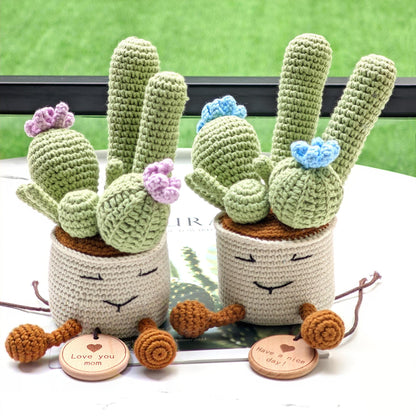Handmade Crochet Cactus Succulent in Pot,Cute Amigurumi Plant Decor,Emotional Support Gift,Funny Desk Decor,Gift for Teacher Coworker Friend