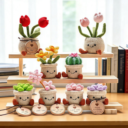 Crochet Succulent Plants, Desk Decoration, Handmade Tulips Pot, Customizable Gift Tags, Crochet flowers
